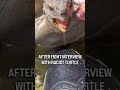 #meme #funny #skit #fyp #animals #trutle
