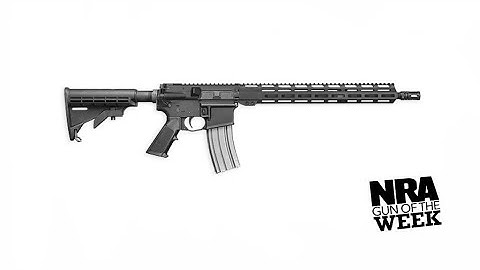 Cover Image for NRA Gun of the Week: Del-Ton Sierra 316L MLok