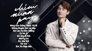 Chim Nhạn Bay, Bông Hoa Chẳng Thuộc Về Ai - Album Dương Hùng Sơn - Những Ca Khúc Hay Nhất 2024 by Nam Việt Music 3,303 views 1 month ago 54 minutes