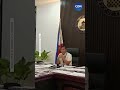 ARCHIVAL ON SANITATION CONCERNS  WATCH: Cebu City Mayor Nestor Archival addresses sanitation…
