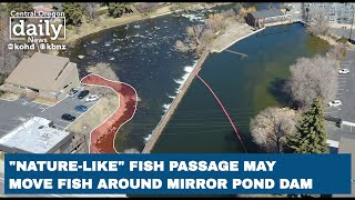 ‘Nature-like’ fish way recommended to move fish around Mirror Pond dam