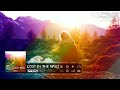 Lost in the wild  imperss music original mix 2021