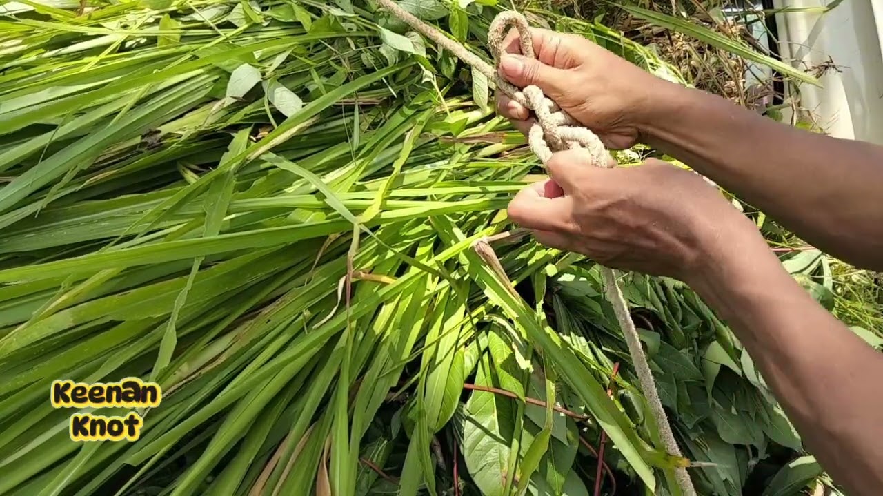 НОВИНКА!!! Простые замки для отвертки, с помощью которых каждый должен научиться завязывать верев...