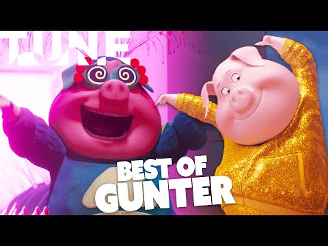Best of Gunter | Sing & Sing 2 | TUNE