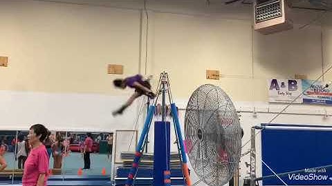 German giant ,ono, and German Tkatchev