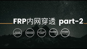FRP内网穿透 第二讲 | FRP应用案例分享|通过FRP简单暴露内网服务到公网环境 | TCP(SSH、远程桌面、WEB)、UDP、HTTP、HTTPS、 STCP(隐秘穿透)、常用插件