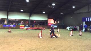Danielle Ackrill And Marshall Winning Circular Knock Out Uka Grand Finals 2014