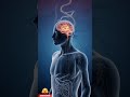 তোমার ব্রেন আসলে কতটা শক্তিশালী জানো? 🤯#BrainFacts #BanglaFacts #ScienceFacts #MindBlown #DidYouKnow