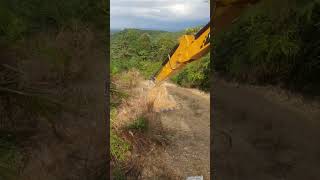 Huge Snake Slithers on Loader’s Front Bucket