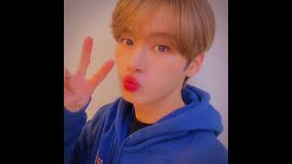 ♡ Lee Know photo sequences ~ cute edit ♡ screenshot 2