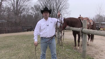 Stacking your reins correctly - Steve Lantvit Horseman