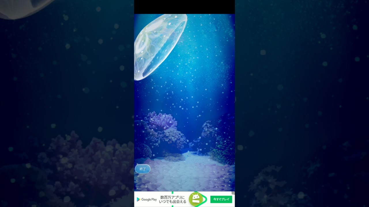 クラゲ214日目 Youtube