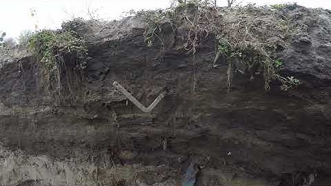 10.11.2025р-Південна частина Синього озера.Київ.Виноградар.ч.4