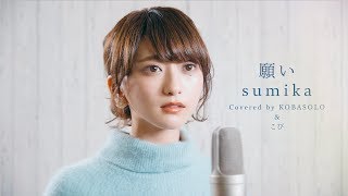 【女性が歌う】願い  sumika(Full Covered by コバソロ &amp; こぴ)