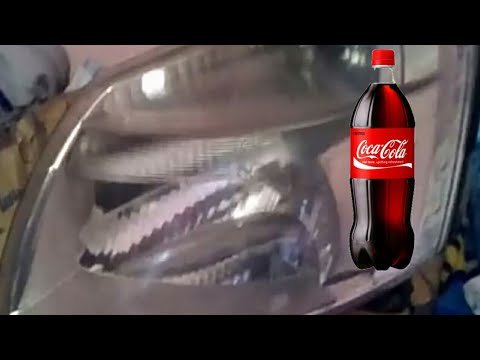 صعب شخصي أيمان سيى  تنظيف الضوء من الداخل بالكوكا كولا(الجزء الثاني) - YouTube