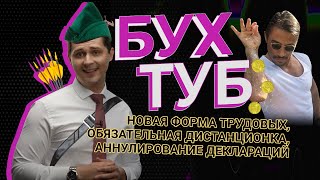 Массовое аннулирование деклараций, Робин Гуд из налоговой, отмена дистанционки