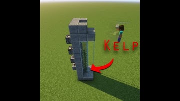 Automatic Kelp Farm in 25 Seconds 🔥