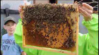 Дети и пчелы(Наш сайт http://www.computer-and-bees.com/ Дети наше будущее В ролике дети и пчелы https://youtu.be/HCr0D13aBnA на пасеке проводиться..., 2016-06-03T11:57:46.000Z)