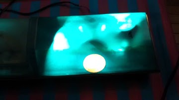 Code 3 LP all blue lightbar