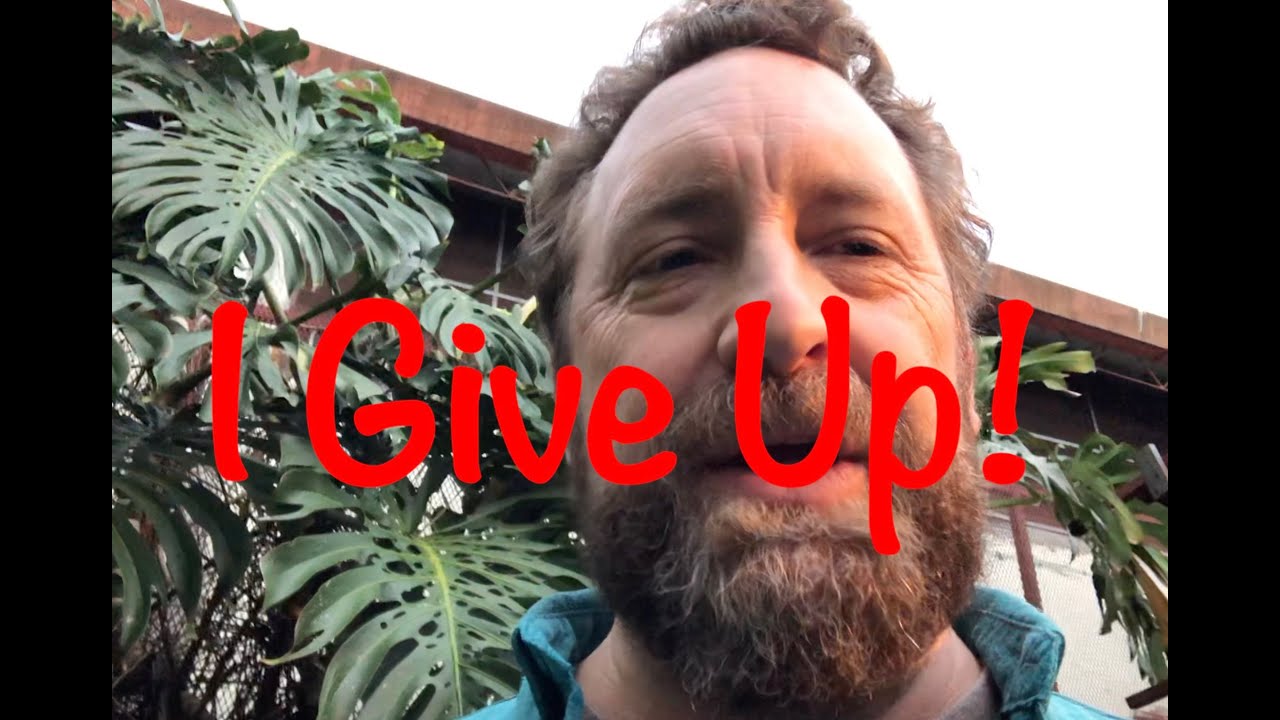 2022 09 Abegg Ministry Update:  I Give Up!