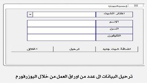 ترحيل البيانات الى اى عدد من اوراق العمل من خلال اليوزرفورم DATA ENTRY USERFORM