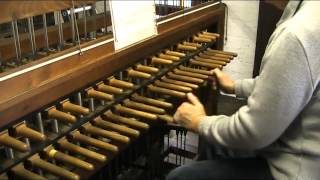 Beiaard For The Climate