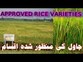 Rice approved varieties rice varieties informationzone
