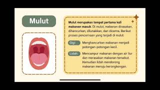 RINALDI | Praktikum IPA SD | MODUL 3 PENCERNAAN MAKANAN