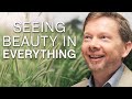 Seeing beauty in everything  eckhart tolle teachings