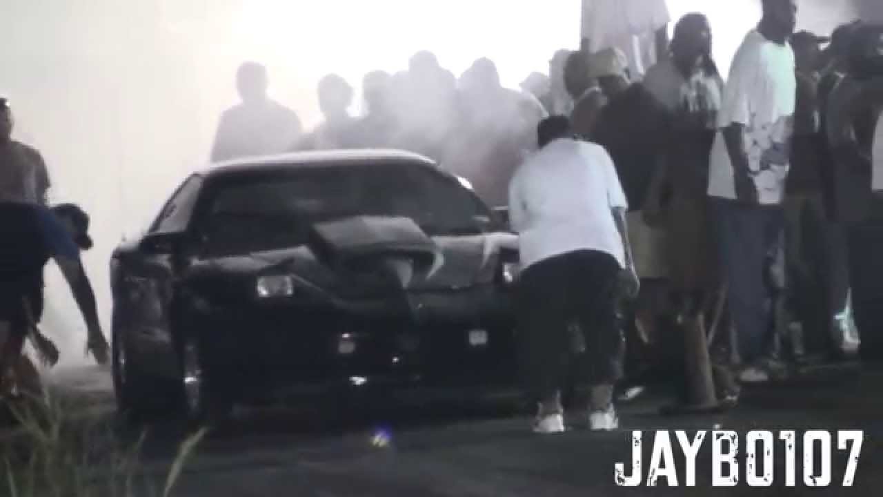 black bird vs whit bird pt2