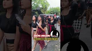 Download Lagu Barong Bangkung, Ngelelawang Keliling Desa #shorts #barongbangkung #bali #senibudaya #2026 MP3