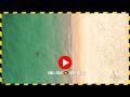 The Night Stayed in Akumal (Beach Landscapes)