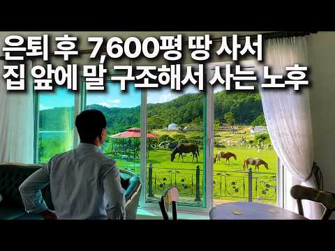 A Day in the Life of a Rescuer Who Saved a Horse from Slaughter and Built It a 3,000-Pyeong Home ...