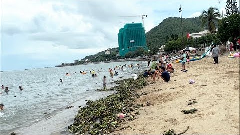 Vũng Tàu Bãi Trước lục bình trôi dạc khắp bãi biển | du khách tiếc nuối vì không tắm biển được
