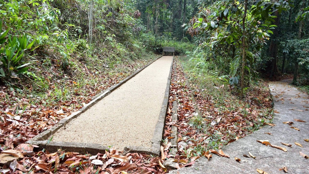 Virtual Retreat|Raga Abhinna Sutta|01|Ven B. DhammaRakkhitha Thero|2026-02-21