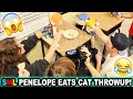 SML PENELOPE EATS CAT THROWUP!