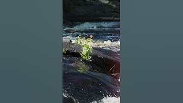 Thumbnail of I like waterfalls ...