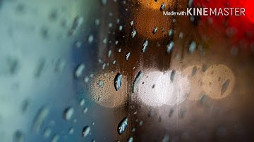 ما تيسر من سورة المؤمنون للشيخ ياسر الدوسري