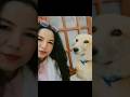 🧿😘🫶🏻 #animallife #trending #viralvideo #shorts #love
