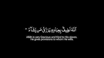 الله الذي أنزل الكتاب بالحق والميزان |ماتيسر من سورة الشورى كروما شاشة سوداء  القارئ وديع اليمني