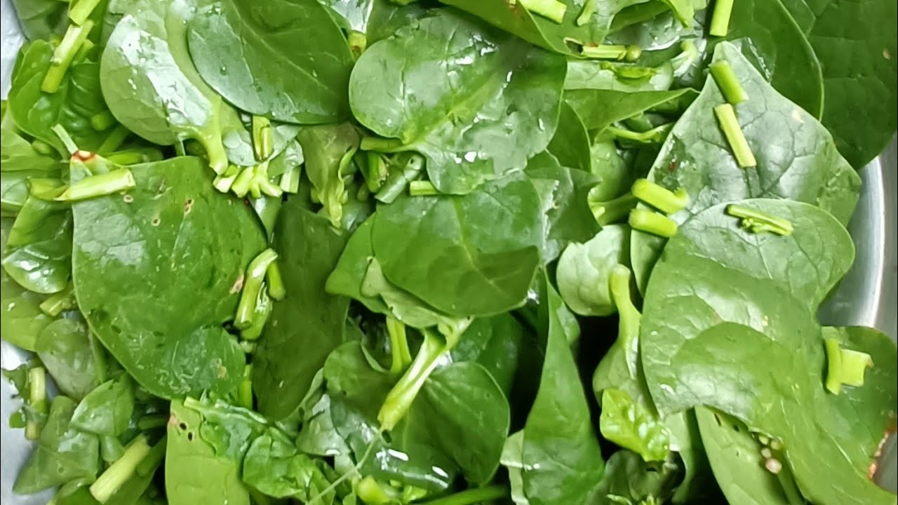 #బచ్చలిఆకురోటిపచ్చడి#BachchaliAakiPachchadi # Basale(Malabar Spinch)LeafPickle#பசலைகீரைசட்னி.