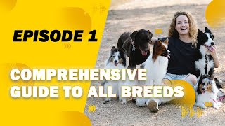Comprehensive Guide to All Breeds by pawlifefact 20 views 1 year ago 5 minutes, 7 seconds