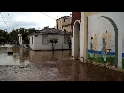 Donde hay bote esta semana