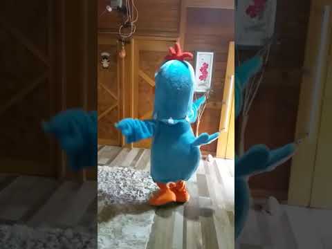Fantasia Galinha Pintadinha Aluguel de personagens vivos para festa infantil #bombandobrinque