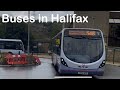 Buses at Halifax Bus Station 2025