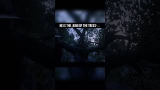 Did You Know The „King Of The Trees“? | #rdr2 #shorts
