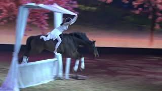 Viagem Para A Feira Equitana