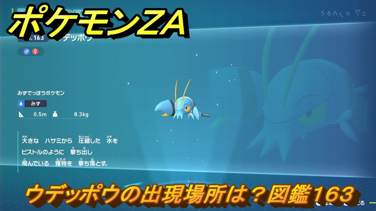 ポケモンZA ウデッポウの出現場所は？図鑑163 ＃142 【Pokémon