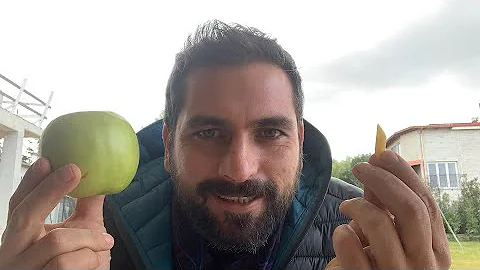 Quante calorie ha il fruttosio?