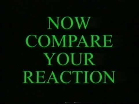 hazard perception test